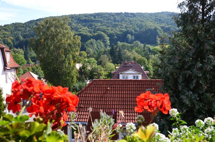 Villa Sonnenseite Jonsdorf Exteriér fotografie